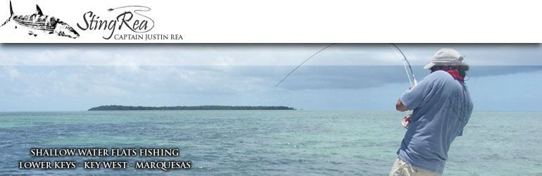 Key West fishing