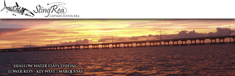 Key West fishing