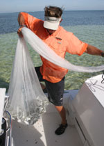 Captain Steve Rodger of Spear One Charters grabs a net full of pilchards for a trip offshore to catch tuna