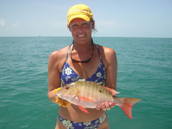 Key West grouper